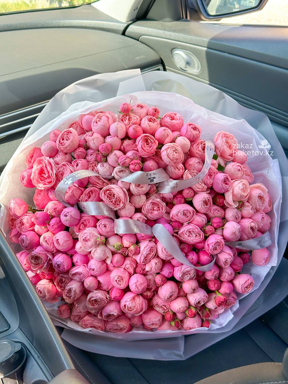 51 пионовидная спрей роза