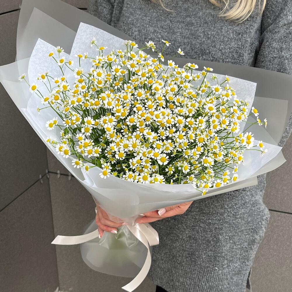 Букет из 15 кустовых ромашек