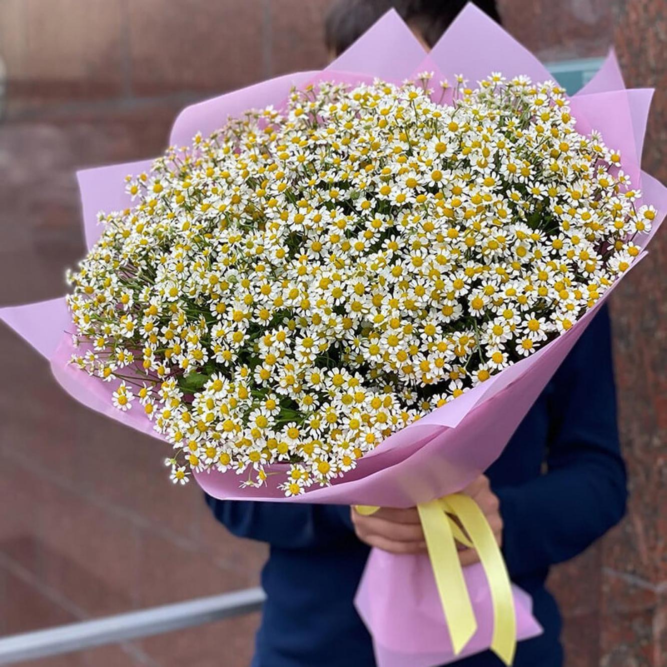 Букет из 51 кустовой ромашки