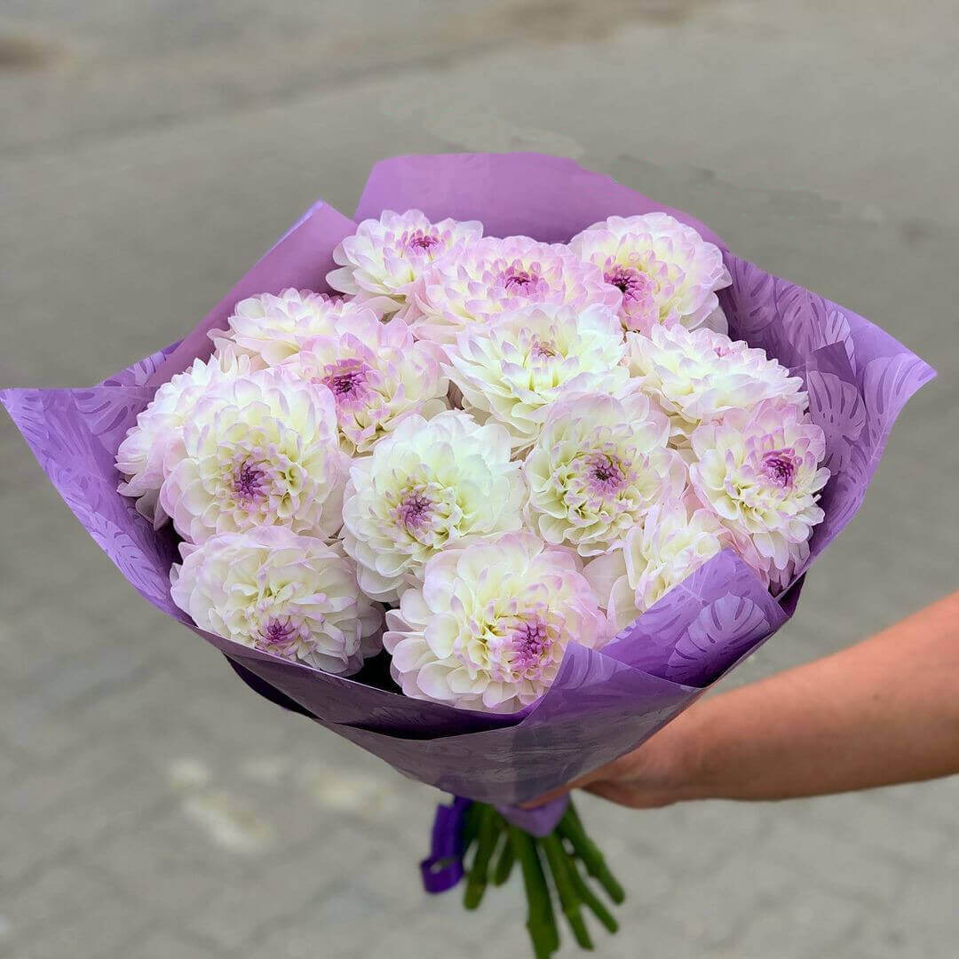 Букет из 19 нежных георгинов