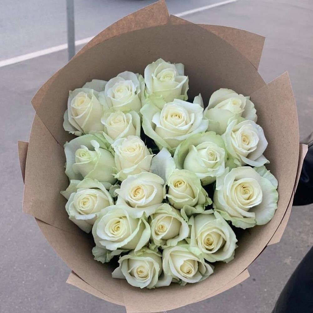 19 белых голландских роз