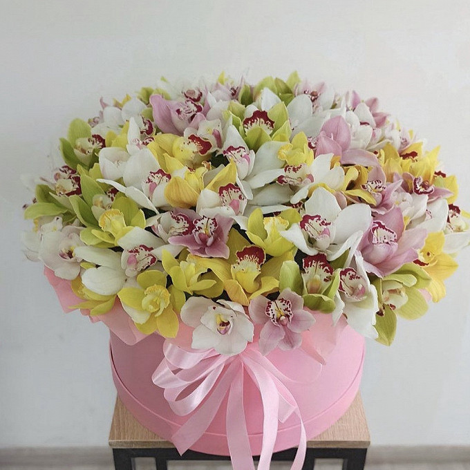 101 орхидея разных цветов в коробке