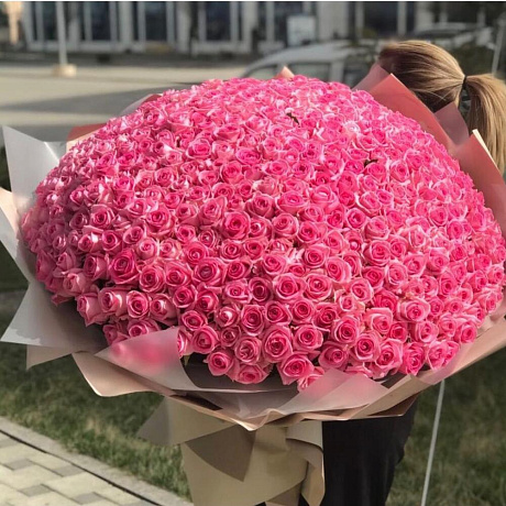 501 розовая роза в оформлении