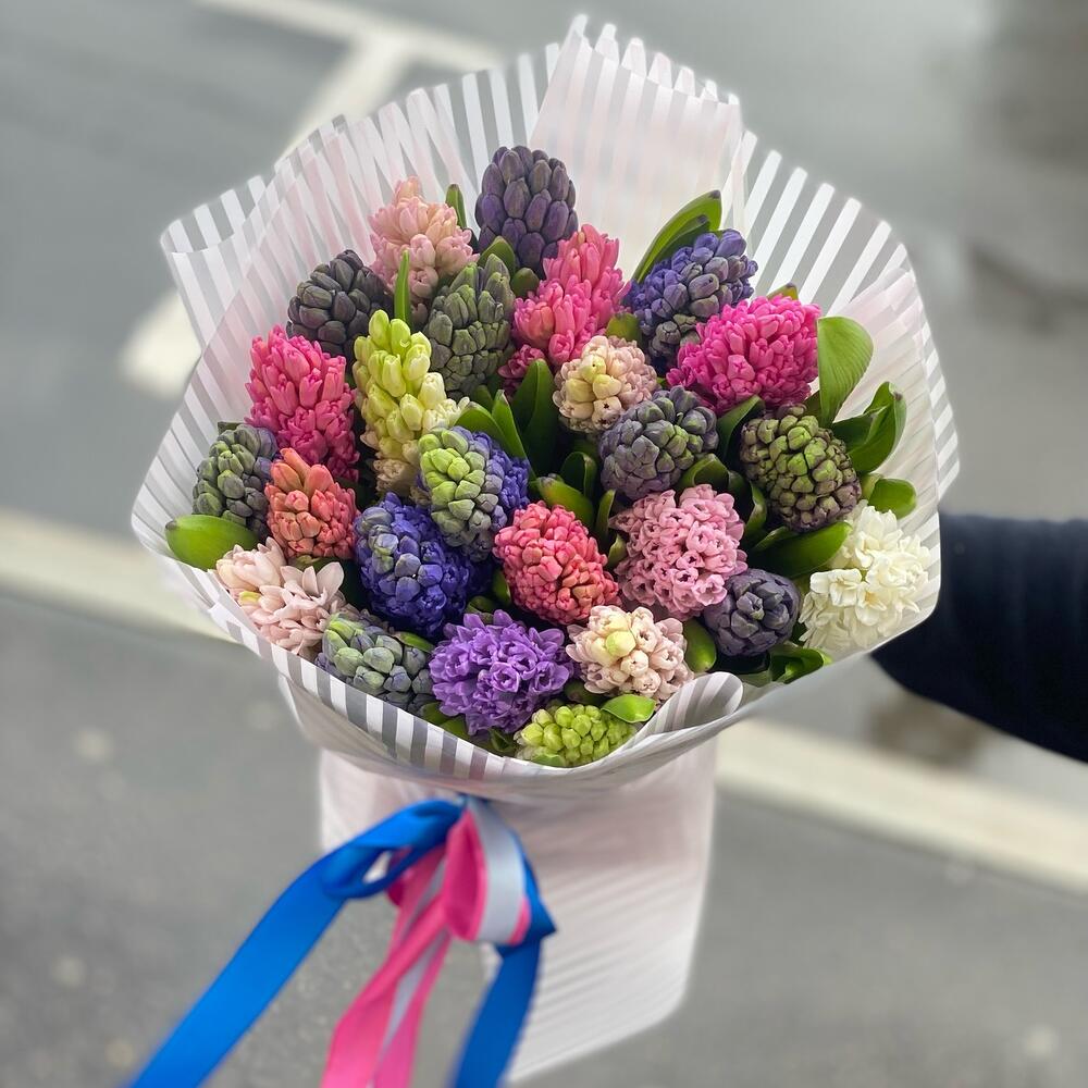Букет из 25 гиацинтов mix