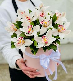 11 орхидей с рускусом в коробке