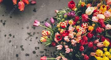 История тюльпана