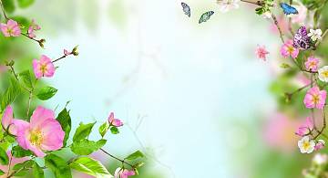 Цветы для поднятия настроения