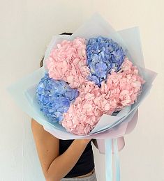 Букет из 5 Гортензий МОНО