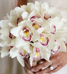 Букет невесты из 23 орхидей