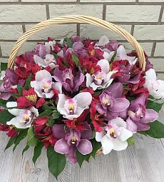 Композиция "Оксирия" из альстромерий и орхидей в корзине