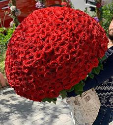 501 красная роза в оформлении