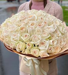 Букет из 101 кремовой пионовидной розы в оформлении