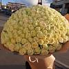 Букет из 301 розы