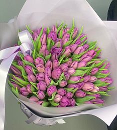 "Violet" 101 голландский тюльпан в букете