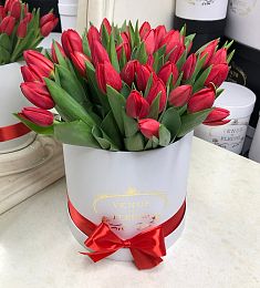 25 красных тюльпанов в коробке