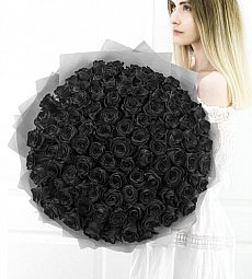 101 черная роза