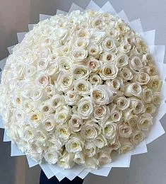 Букет из 101 белой пионовидной розы в оформлении