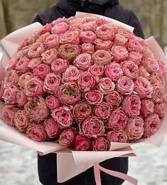 Букет из 101 розовой пионовидной розы в оформлении