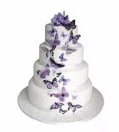 Свадебный торт "Бабочки в моем животе"