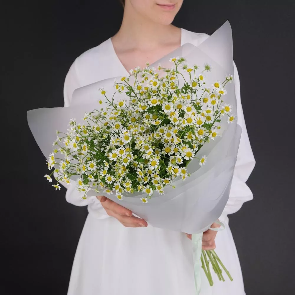 Букет из 7 кустовых ромашек