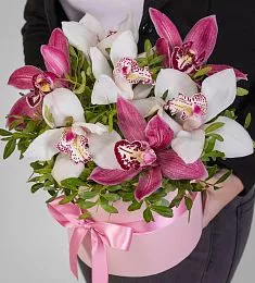 7 орхидей с фисташкой в коробке