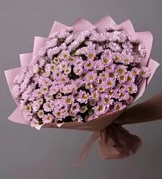Букет из 11 розовых кустовых хризантем сантини