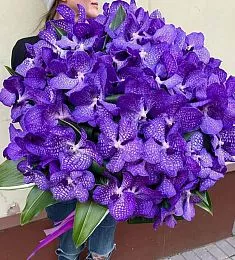 Букет из 81 орхидеи и рускуса