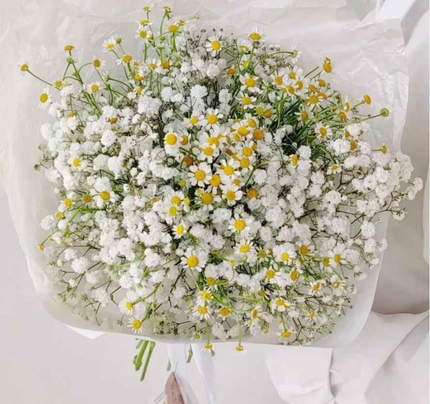 Букет "Лигини"из кустовой ромашки и гипсофилы