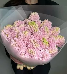 Букет из 25 розовых гиацинтов