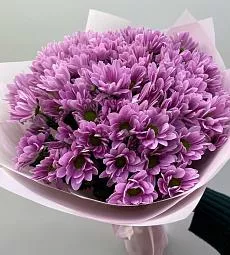 Букет из 9 ромашковидных фиолетовых хризантем в  стильном оформлении