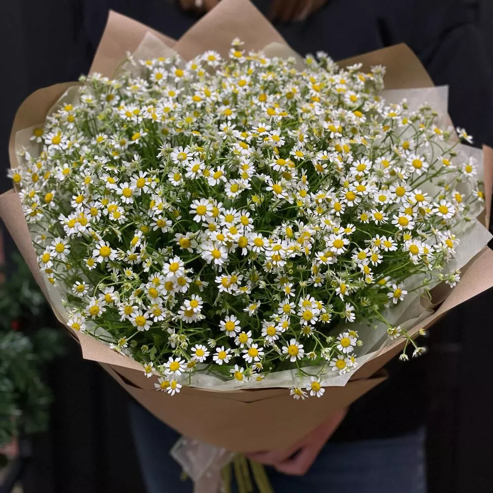 Букет из 25 кустовых ромашек