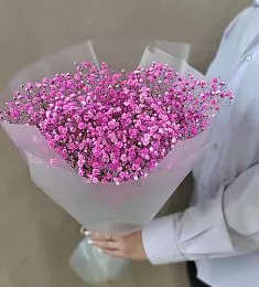 Букет из 7 розовых гипсофил