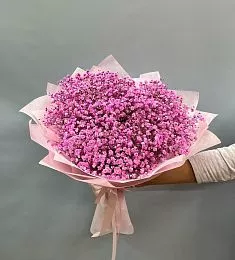 Букет из 15 ярко розовых гипсофил