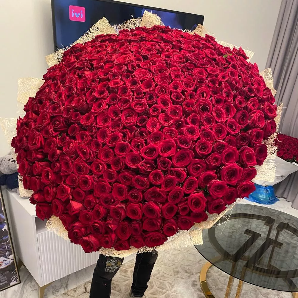 501 красная голландская роза в оформлении